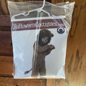 Adorable lion Halloween costume, full set.